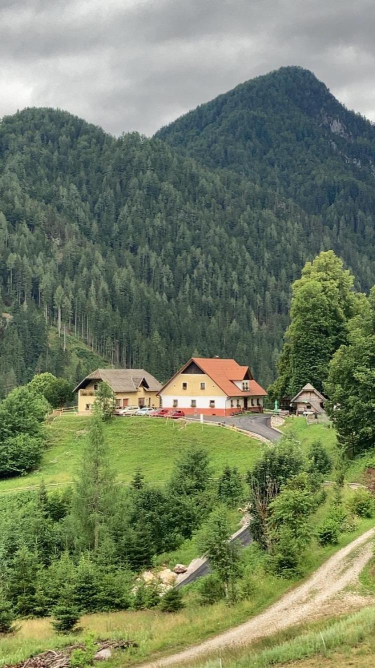 Apartmán Tourist Farm Gradisnik Solčava Exteriér fotografie