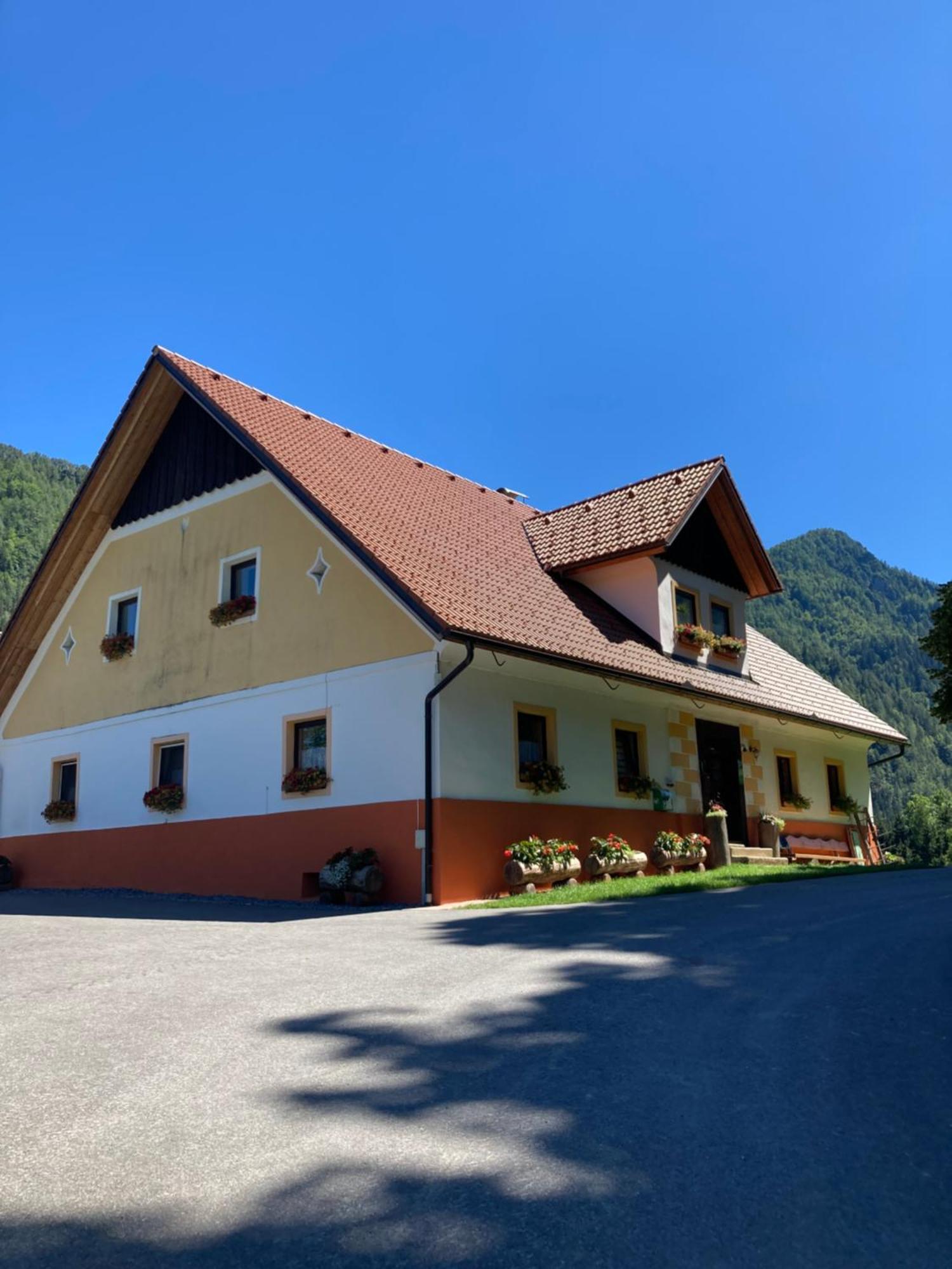 Apartmán Tourist Farm Gradisnik Solčava Exteriér fotografie