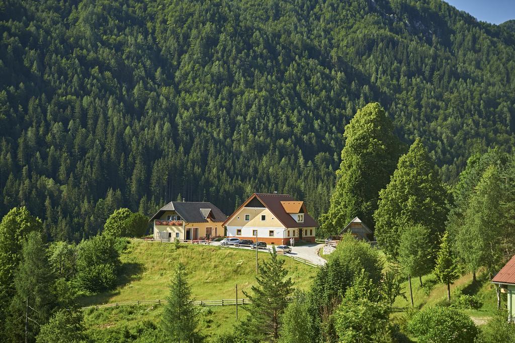 Apartmán Tourist Farm Gradisnik Solčava Exteriér fotografie