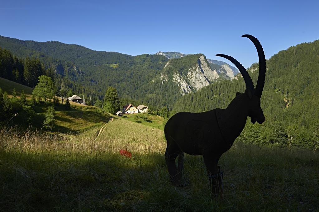 Apartmán Tourist Farm Gradisnik Solčava Exteriér fotografie