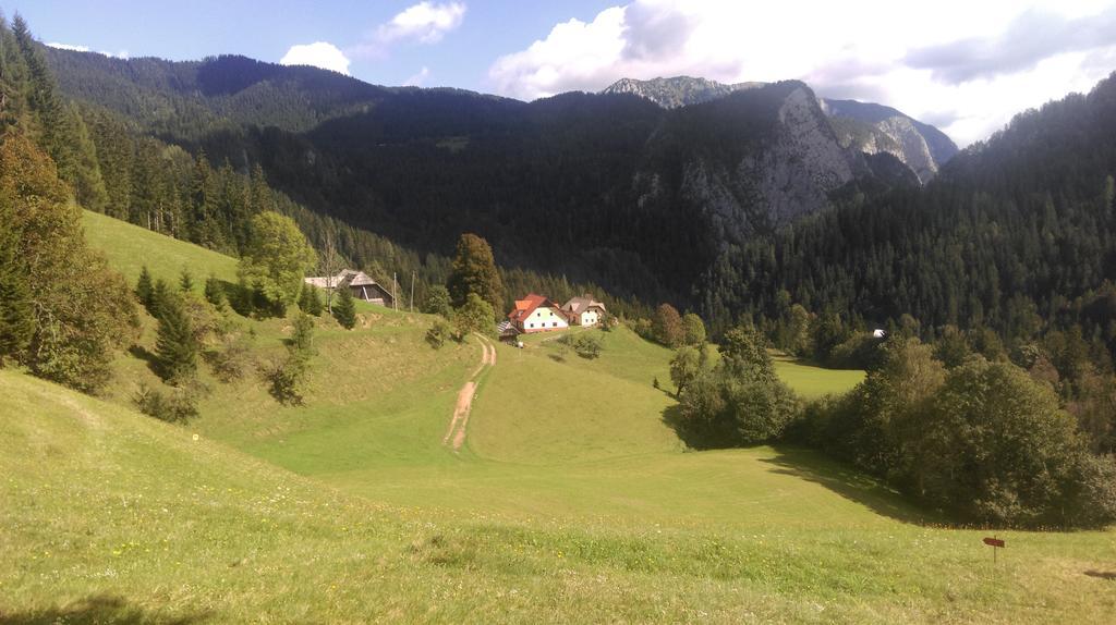 Apartmán Tourist Farm Gradisnik Solčava Exteriér fotografie